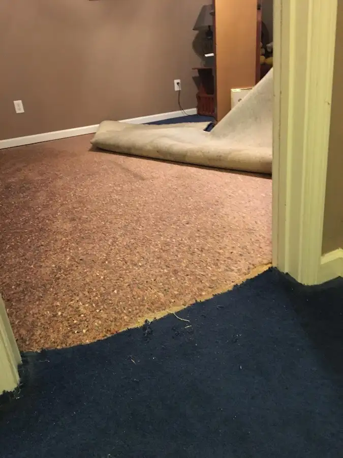 Carpet pad removal revealing water damage during Drying & Dehumidification in Highland Springs