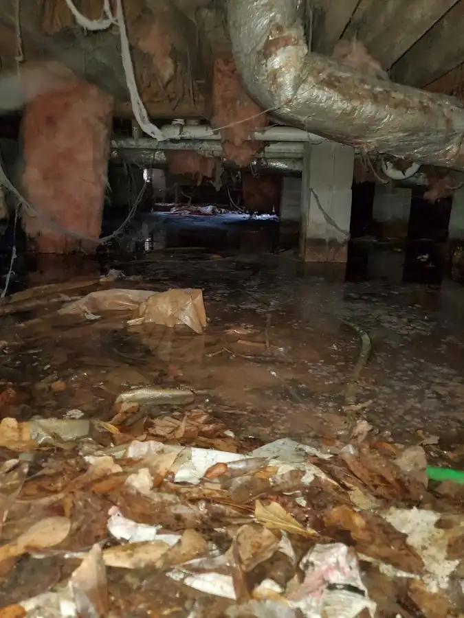 Crawl space flood assessment for Leak Detection & Repair in Highland Springs